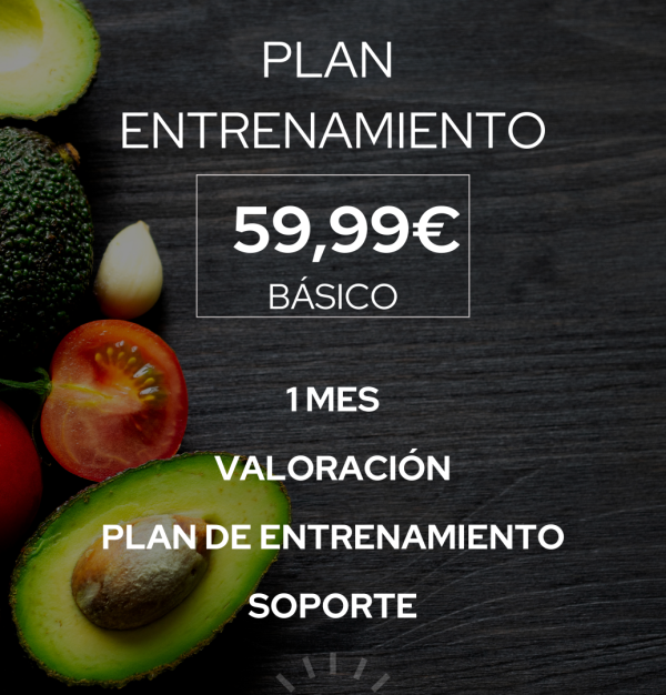 PLAN ENTRENAMIENTO